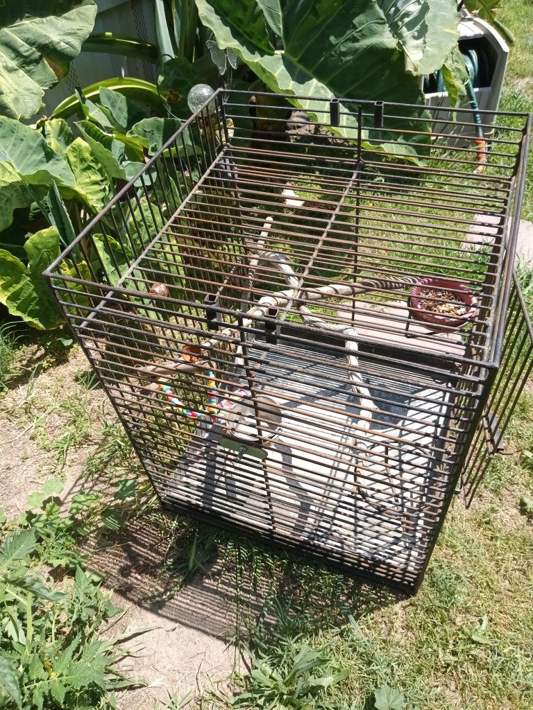 Sturdy bird cage