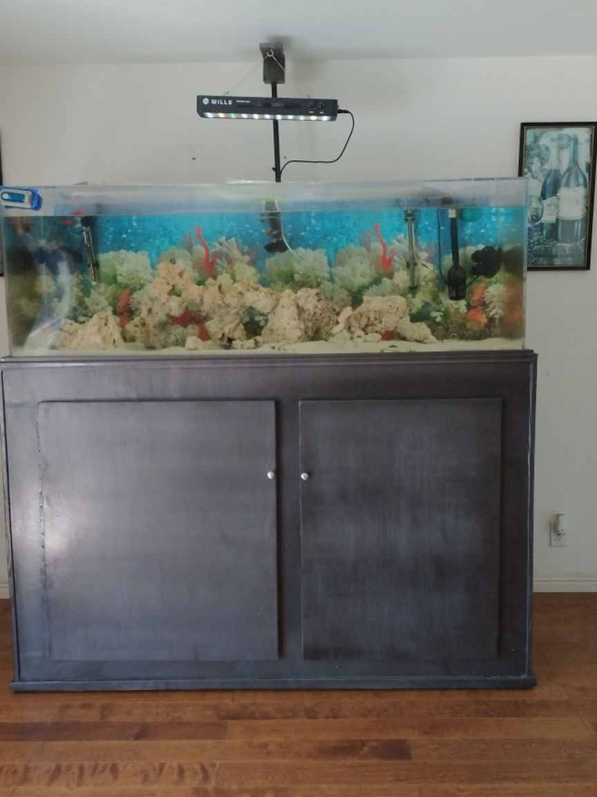 180 Gallon Tank