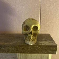 Glow In The Dark Resin Skull