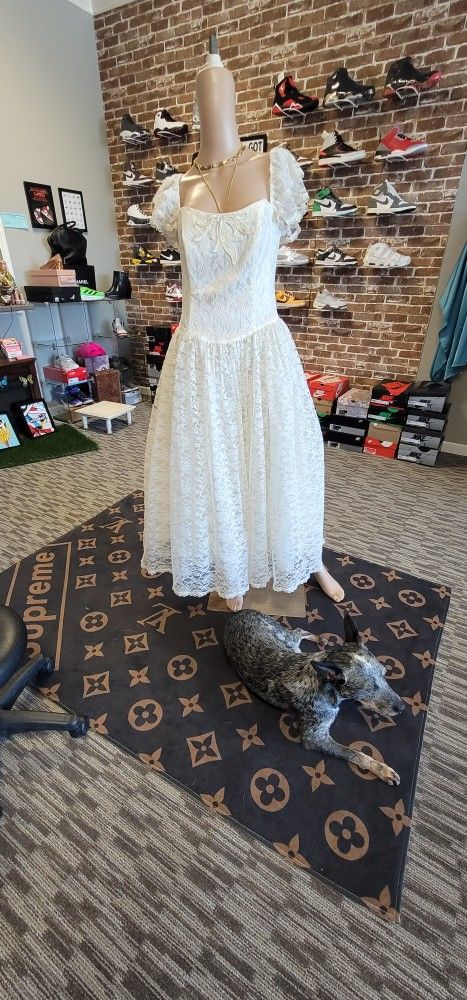 velvet wedding dress bridal gown Simple Velvet Wedding Dress with Cowl Back AELIS Size 10 / Ivory