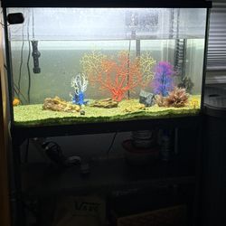 Full Aquarium Setup “NO FILTER ITS BROKEN”