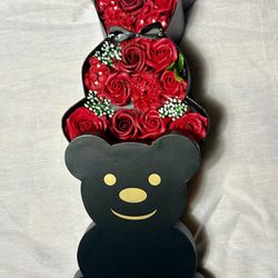 Teddy Bear Rose 