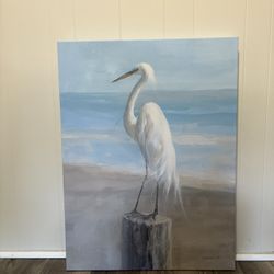 Seagull Canvas Print