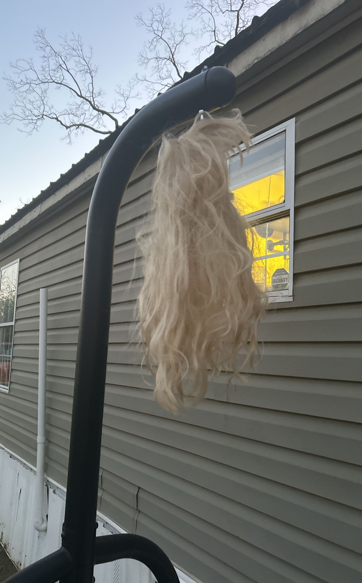 Wig