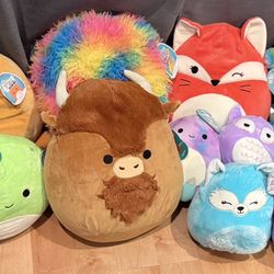 Lot Of New With Tags Squishmallows All For $25!