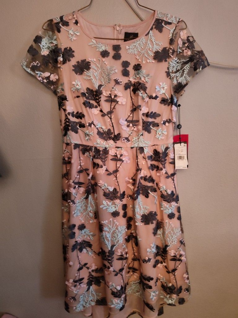 Adrianna Papell Dresses- sz8