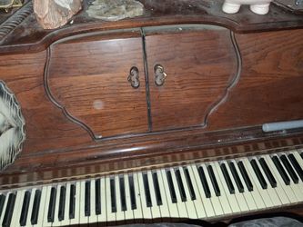 Player piano. Harpischord.  Electric and pedal power.