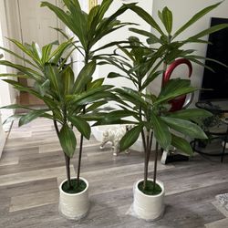 Pretty Artificial Plant 5 FT Tall With Natural Wood Trunk !  With White Tall Planter Set Of 2 ! Brand New