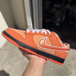 🦞 Concepts x Nike SB Orange Lobster