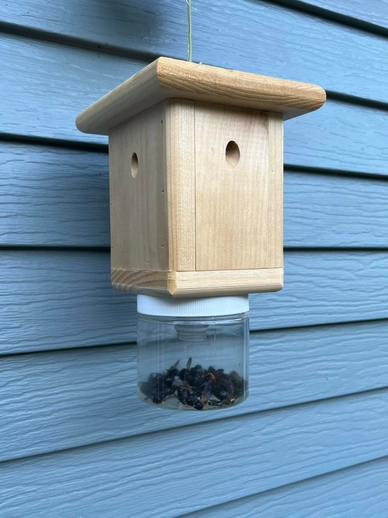 Brian's Carpenter Bee Traps