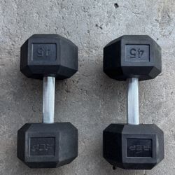 45lb Dumbbells 