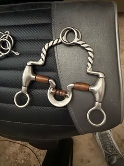Two Horse Bits
