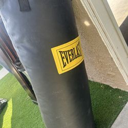 Everlast punching Bag 