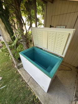 Chest Freezer Cold Plunge
