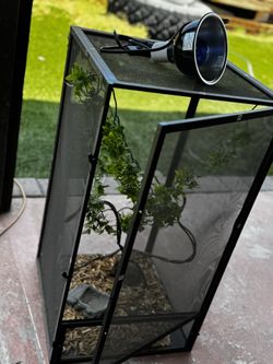 Chameleon / Reptile Enclosure