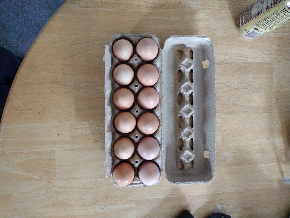 Free Range Brown Eggs