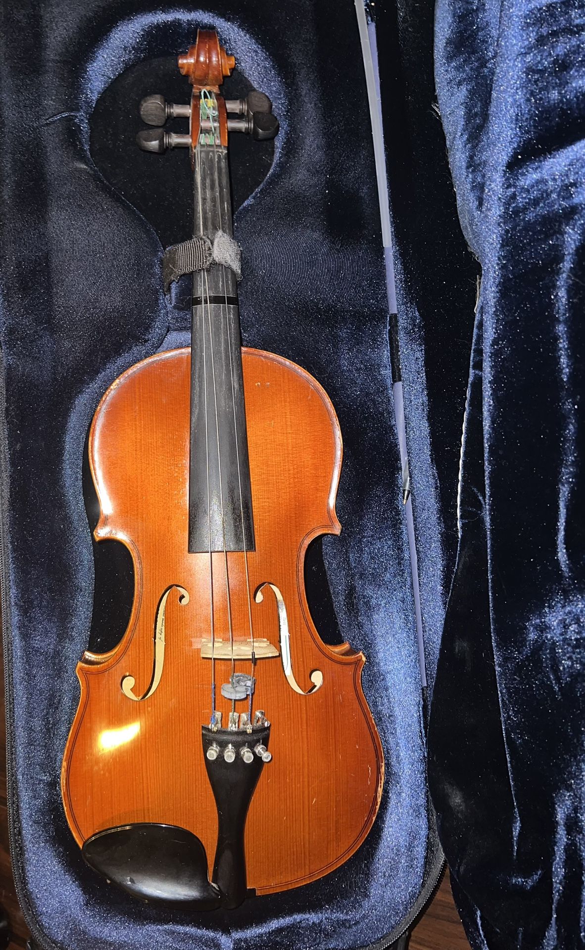 Violin
