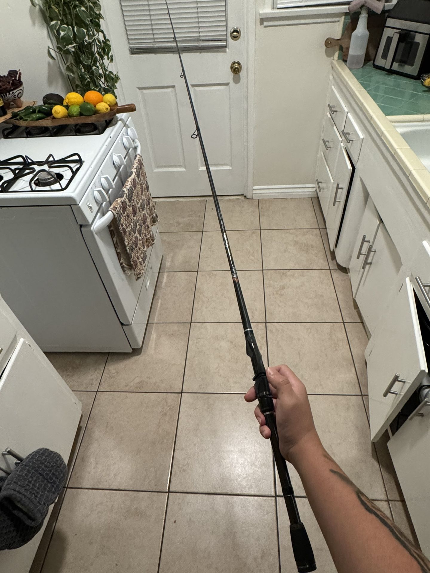 Phenix Feather FTX Spinning Rod