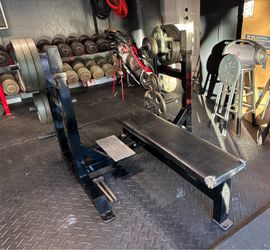 Elite FTS Bench