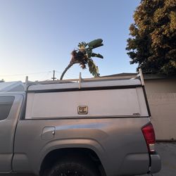 Toyota Tacoma Camper 
