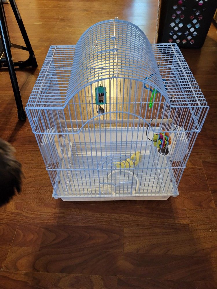 Bird Cage