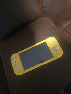 Nintendo switch lite