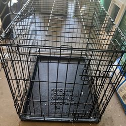 Dog Kennel