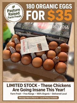 Organic eggs