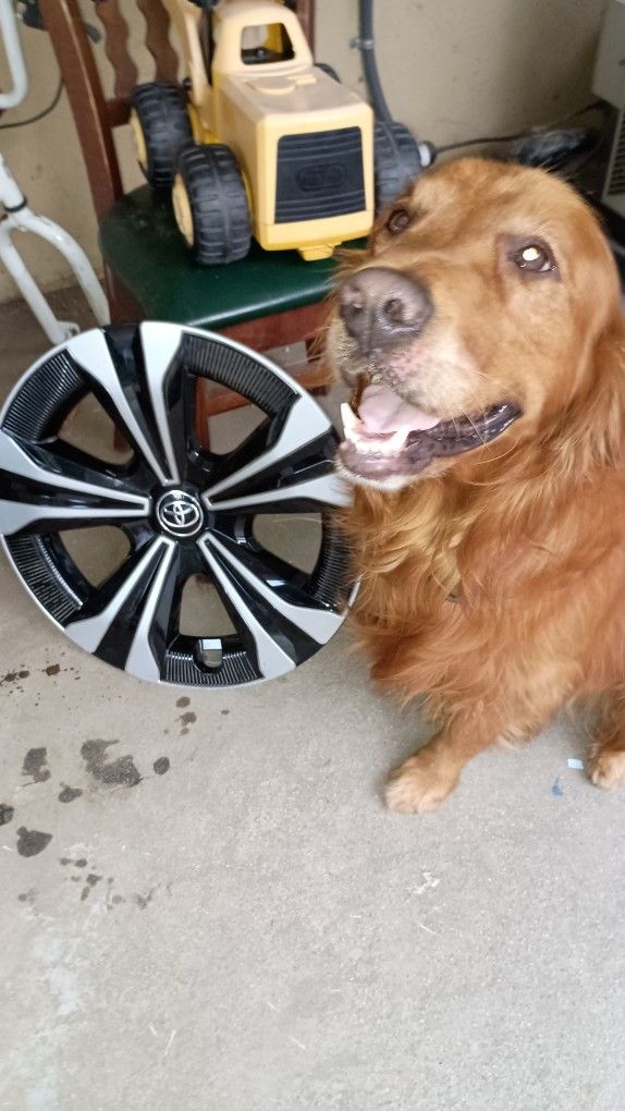 Genuine Toyota Camry Part 2022-2024 bZ4X OEM Black/Silver Hubcap/Wheelcover 18 Inch #(contact info removed)050 My Price Is $45. These Are $150 ONLINE