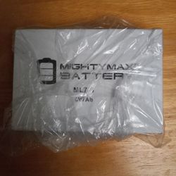 Mighty Max Battery ML7-6 6 Volt 7AH 