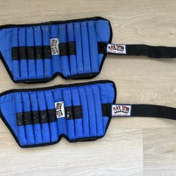 Two 10# Ankle Weights