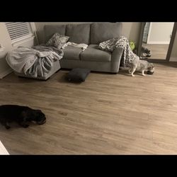 Grey Couch!