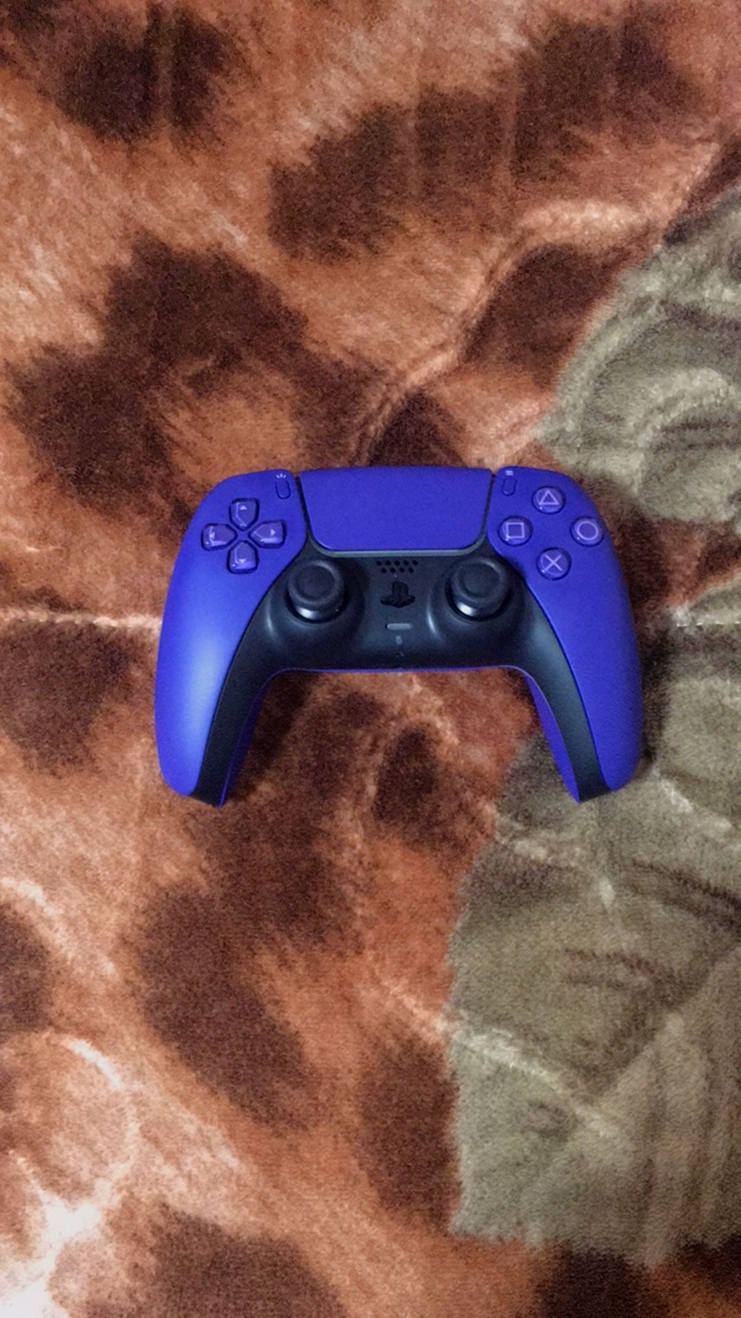 PS5 Controller