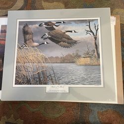 Ducks Unlimited Sponsor Prints  