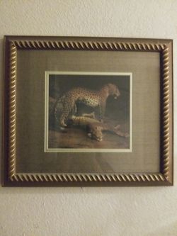 Cheetahs frame 16 x 14