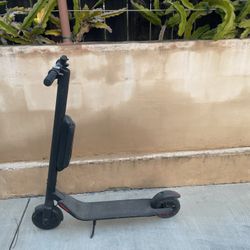 Electric Scooters 