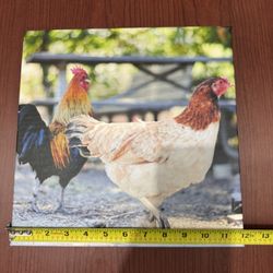 Two Chickens Canvas Print