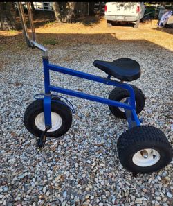 Rhino Blue Tricycle
