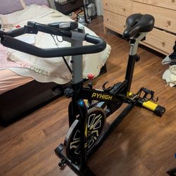 Pyhigh Youthful Vitality Exercise Bike 