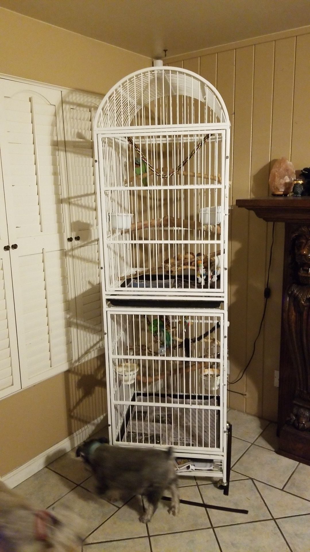 Cage for medium sized Birds