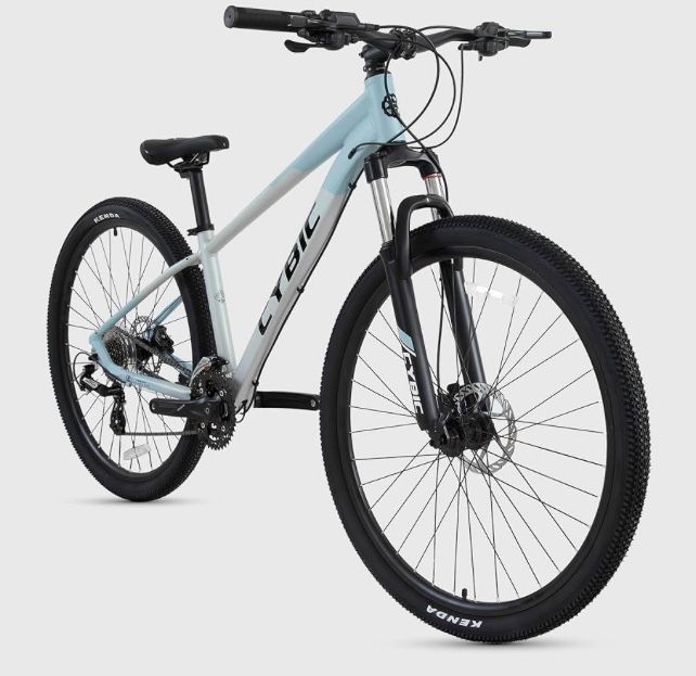 Blue And White Mtb 29in