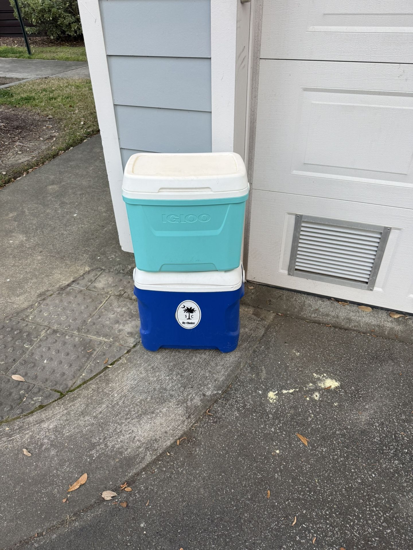 Igloo Cooler