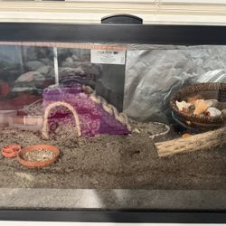 Hermit Crab Tank 20 Gallons Long