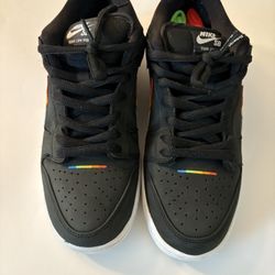 Nike Dunk Sb Polaroid
