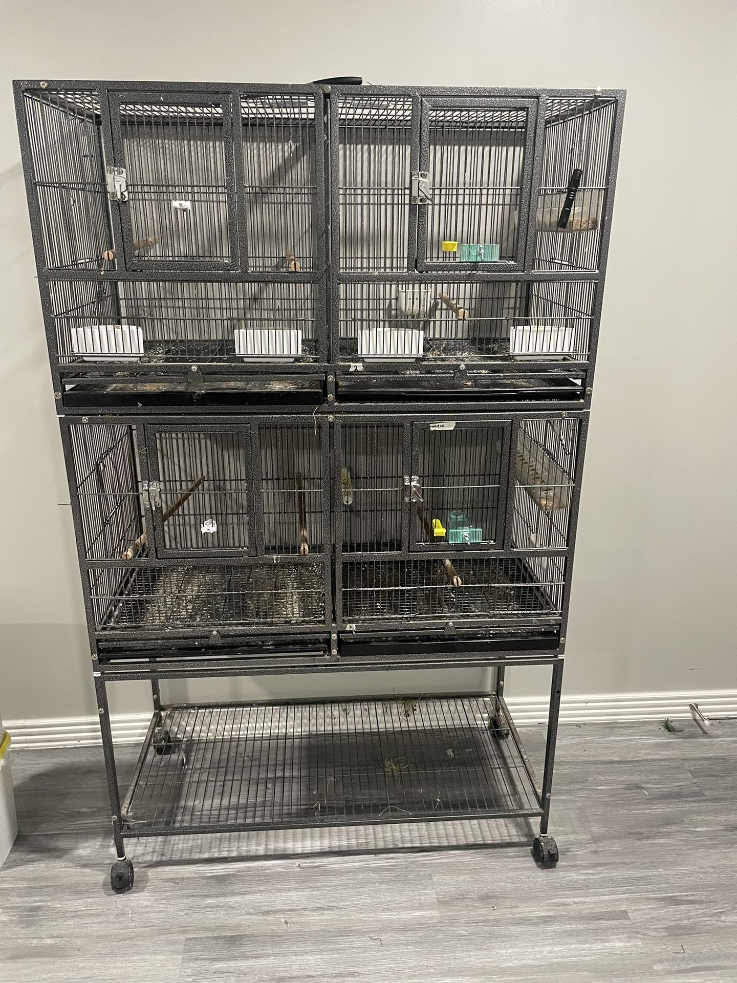 Bird Cage