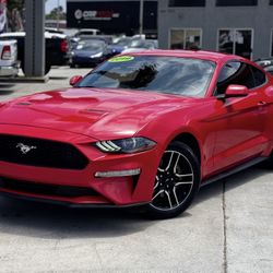 2019 Ford Mustang
