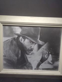 Framed Indiana Jones And Snake.