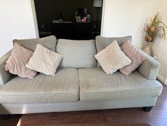 Light Gray Fabric Sofa Couch