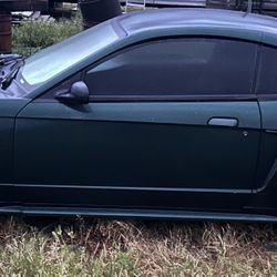 Mustang