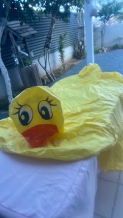 Pool inflatables